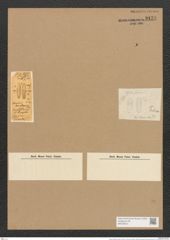 Amphora bacillaris Greg. (de-Toni-Nr.: Genus 36, Species 1658) Zeichnungen Sammlung Grunow Nr. 3172 (NHMW-BOT-W0370613)